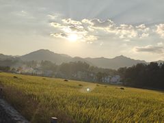 -塔川景区