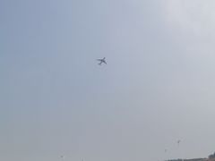 -空港花田景区