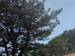 -青岩寺风景区