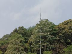 -火炉山森林公园