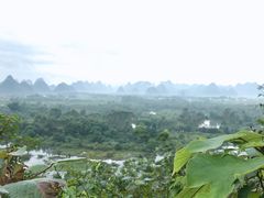 -会仙湿地