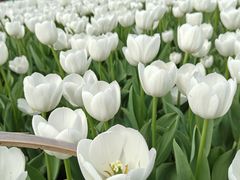 -玄武湖景区-情侣园游乐场