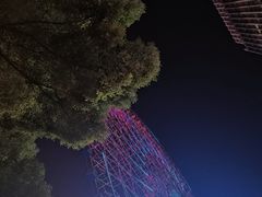 -星城之眼摩天轮