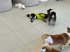 -怪兽屋·羊驼·猫咖·狗咖(俊华广场店)