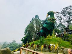-都江堰玫瑰花溪谷