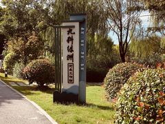 -九科绿洲
