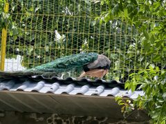 -丽泽山庄·生态怀柔菜·虹鳟鱼(红螺寺店)