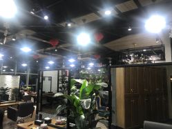 -UPTOP鼎上造型