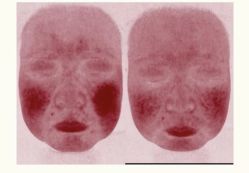 -魔丽卡·中国式美甲美睫