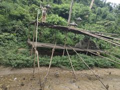 -西双版纳原始森林公园