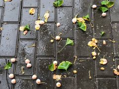 -远洋未来广场(育慧北路店)