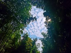 -黄公望隐居地
