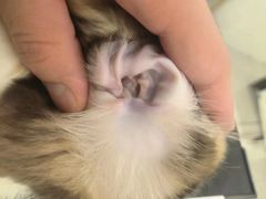 -comecome来吧宠物(奥克斯中心店)