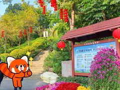 -炮台山公园