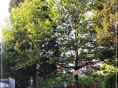 -人民公社大食堂(顺义总店)