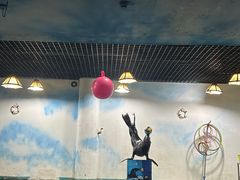 -嘉兴海底世界