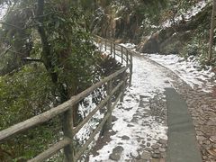 -东天目山风景区