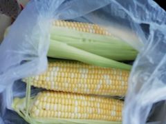 -大连熟食品交易中心