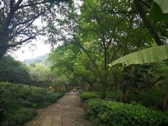 -法云古村