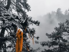 -塔云山