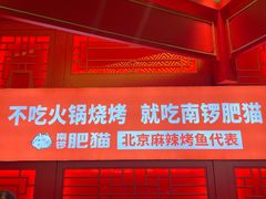 门面-南锣肥猫·麻辣烤鱼·16年现烤现卖(财富购物中心店)