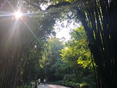-桃花涧