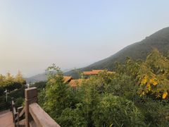 -铁山坪森林公园