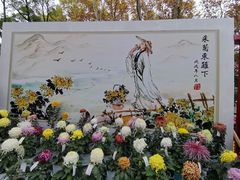 -上海共青森林公园