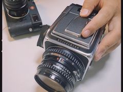 -iF摄影•全家福•证件照•形象照(南山店)