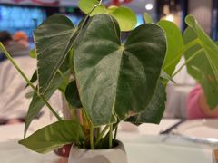 -眉州东坡(华联万柳店)