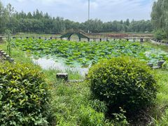 -渌洋湖湿地公园