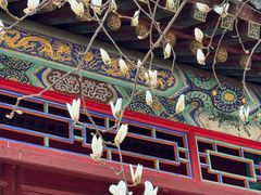 -潭柘寺景区