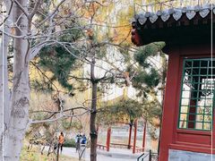 -北坞公园