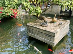 -猪肉婆私房菜(容桂总店)