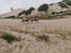 -库伦旗银沙湾旅游景区