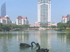 -厦门大学(思明校区)