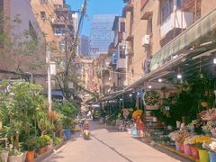 -循礼门鲜花花市(武汉循礼门店)