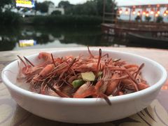 -晓琦农家菜馆·地道农家菜