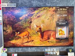 -苏宁易购(Suning Pro深圳华强北店)