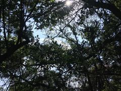 -仙岳公园