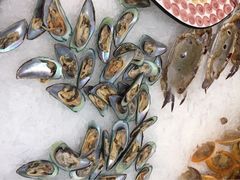 -格瑞欧海鲜自助烤肉火锅(光彩店)
