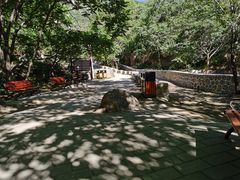 -大岭沟猕猴桃谷风景区