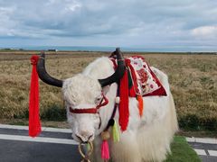 -青海湖国家重点风景名胜区