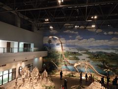 -自贡恐龙博物馆