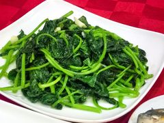 -先鲜鲫鱼粥