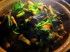 -广宁炭炉鸡煲·富临门饭店