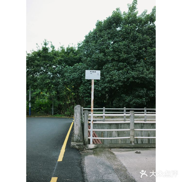 马峦北路.深圳又一条小众的日系片公路！