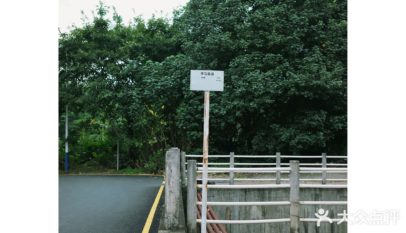 马峦北路.深圳又一条小众的日系片公路！