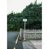 马峦北路.深圳又一条小众的日系片公路！