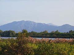 -福田红树林生态公园